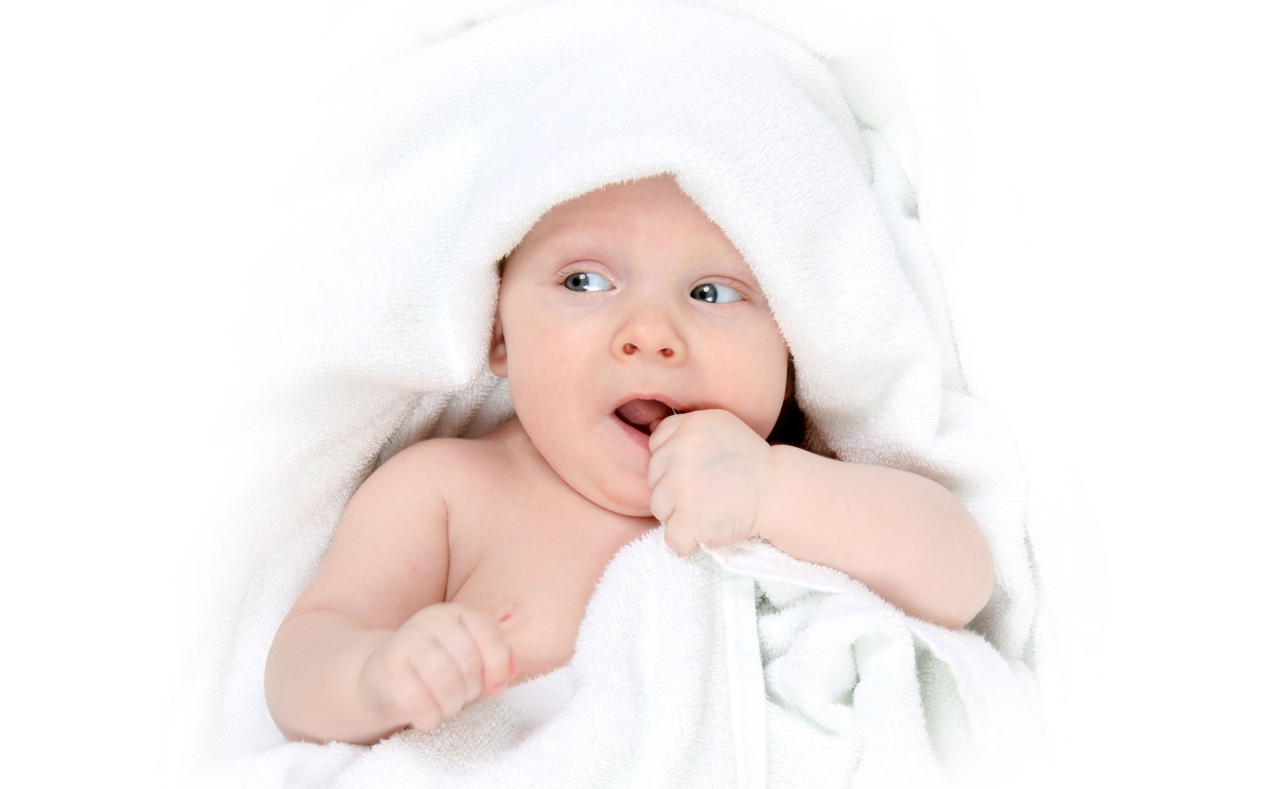 佛山捐卵网试管婴儿如何保证成功率